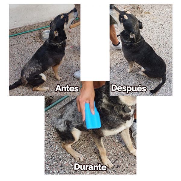 Deslanador Mágico - Imagen 5
